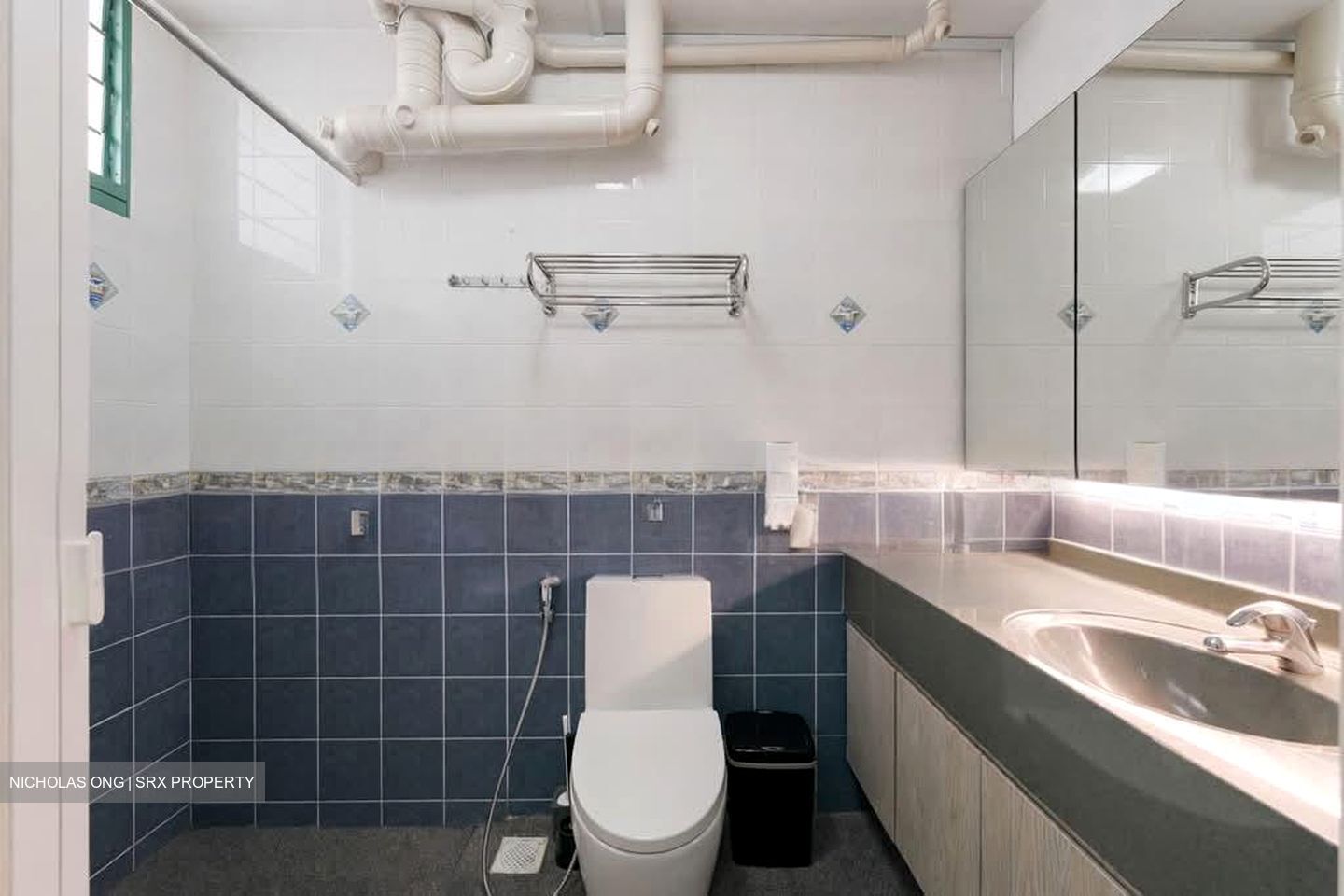 Blk 484 Segar Gardens (Bukit Panjang), HDB Executive #546657881